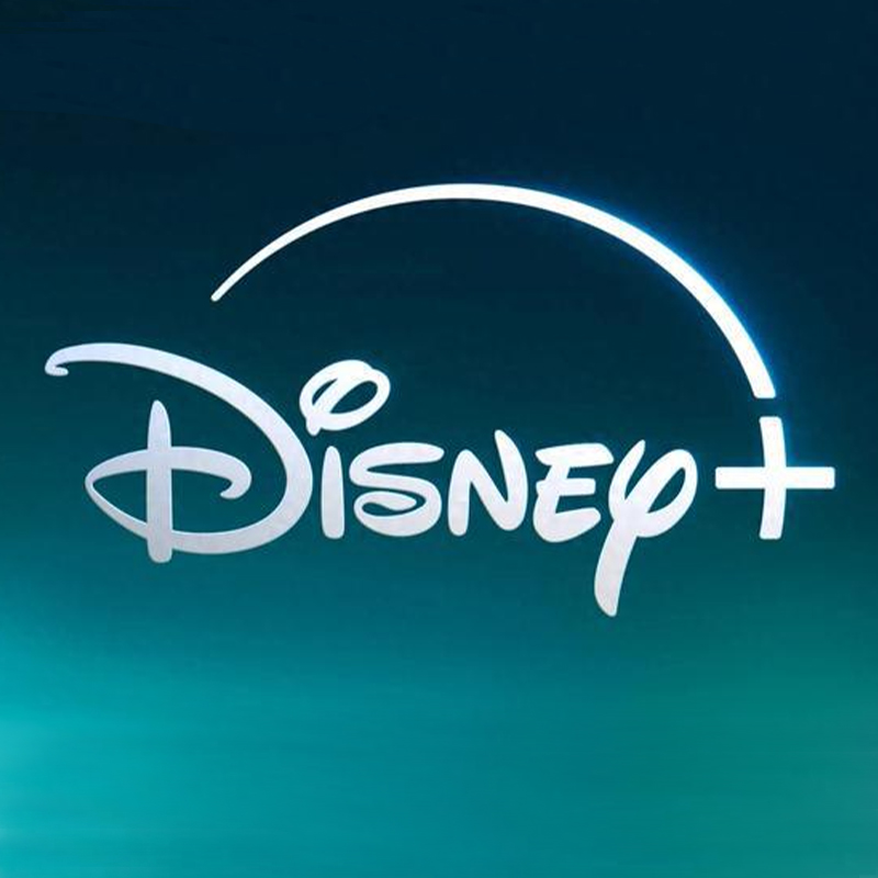Disney迪士尼验厂